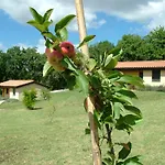 Valle Del Lupo Casa di campagna *