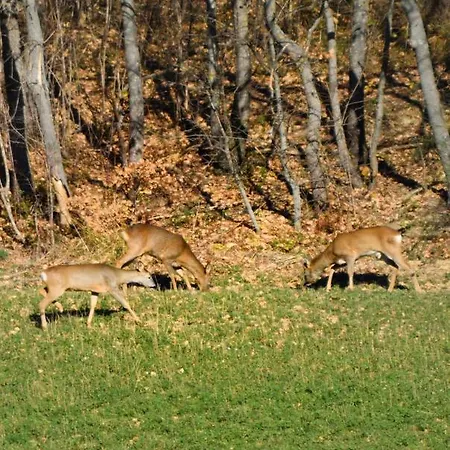 Valle Del Lupo Venkovský dům San Ginesio