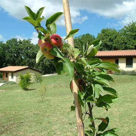 Valle Del Lupo Venkovský dům *
